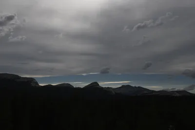 DSC_4461 (Large).JPG